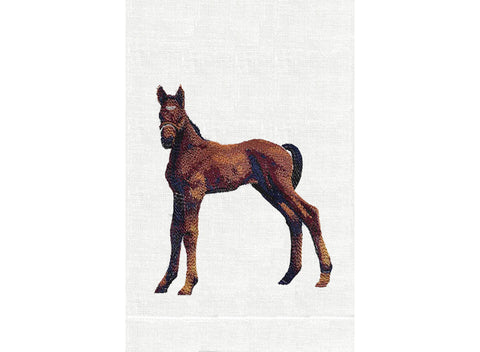 Foal
