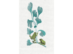 Green Frog Blue Ginkgo