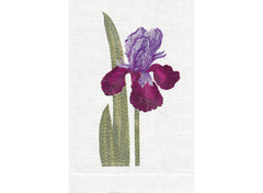 Purple/White
