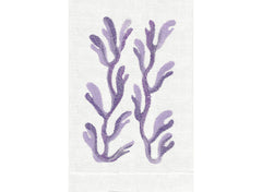 Purple/White