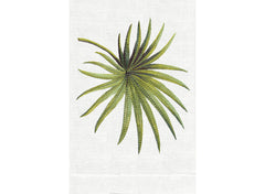 Palmetto