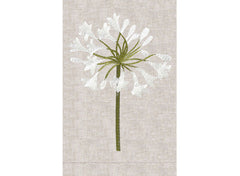 White Agapantha - Oat Linen Guest