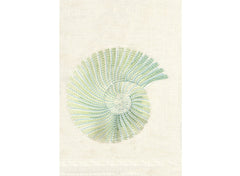 Blue/Natural White