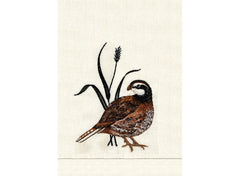 Natural Linen