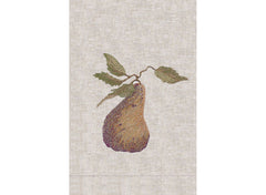 Winter Pear
